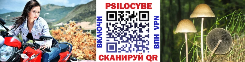 Псилоцибиновые грибы MAGIC MUSHROOMS  что такое   Новомичуринск 